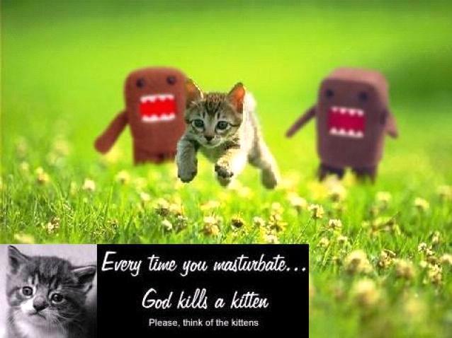 dontkillkittens.jpg