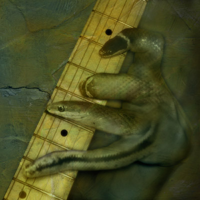 handfulofserpents.jpg