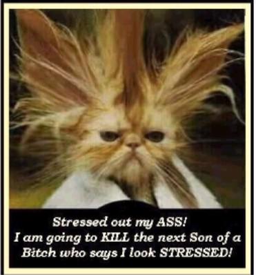 stressed.jpg