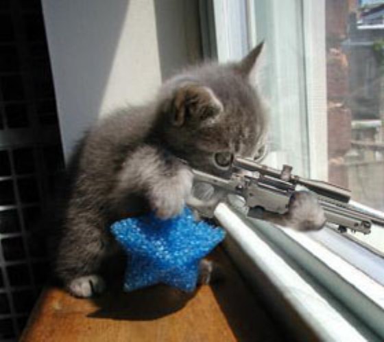 watchyoudog.jpg